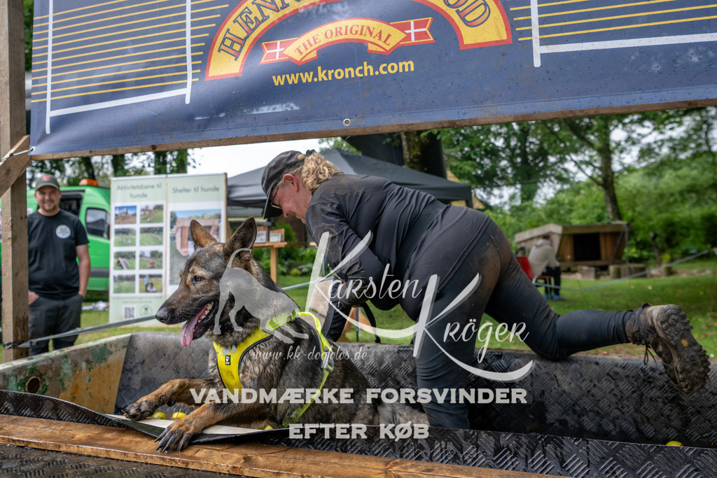 1025_ZZ90656 | kk-dogfotos