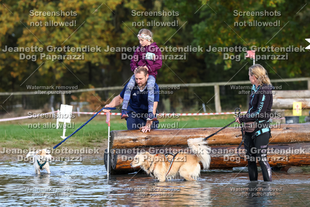 Dog Paparazzi - Strongdog 10-25-8284 | Dog Paparazzi Jeanette Grottendiek Fotografie & Videografie - Realisiert mit Pictrs.com