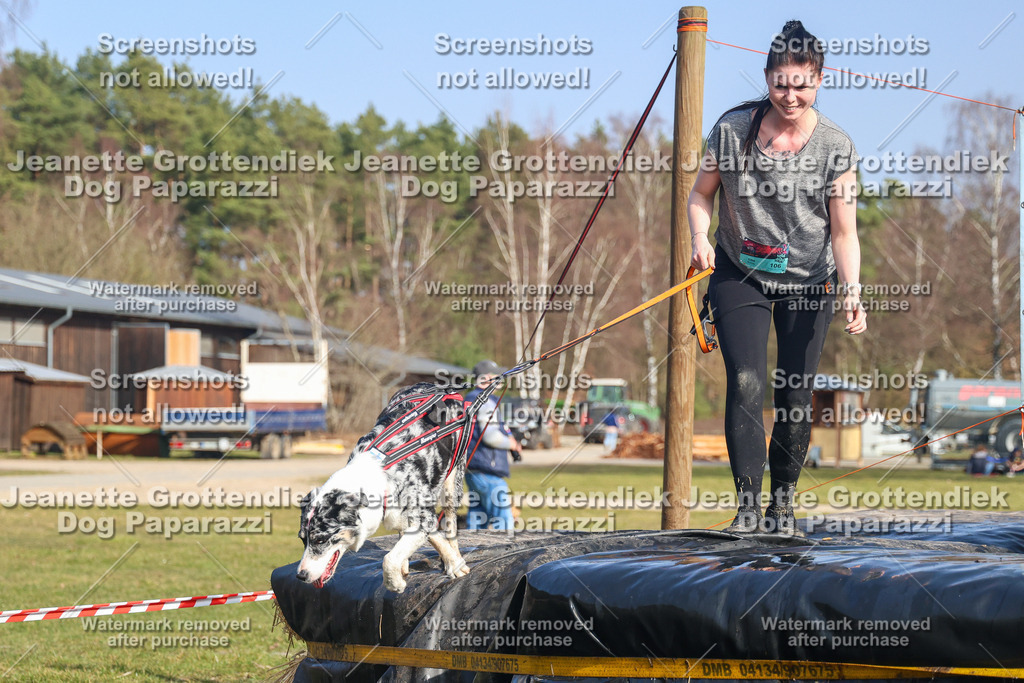 Dog Paparazzi - Strongdog North Mrz26-2924 | Dog Paparazzi Jeanette Grottendiek Fotografie & Videografie - Realisiert mit Pictrs.com