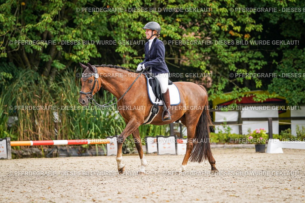 DSC00434 | Pferdegrafie