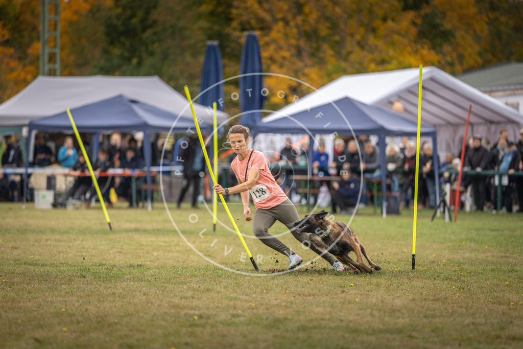 Pfotenfotografie_DV3A7623 | Hundefotografie, Tierfotograf, Pfotenfotografie, Fotoshooting Hund, Hunde Portrait, Hundesport, Hundeportraits, Heideshooting, Hunde, Sportfotograf, Hundefotograf, Turnierhundsport, THS,  - Realisiert mit Pictrs.com
