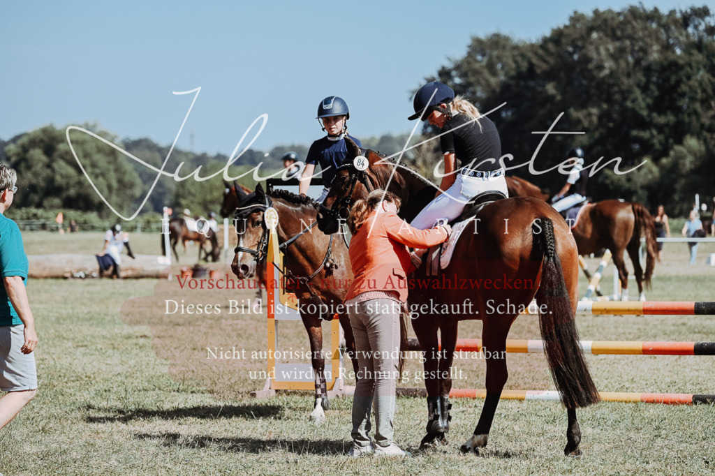 DSC_0080 | Pferde- und Turnierfotografie in Westsachsen. Pferdeportraits, Auftragszeichnungen und intuitive Kunst.