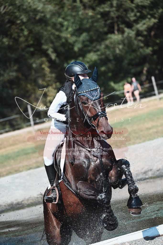 DSC_8651 | Pferde- und Turnierfotografie in Westsachsen. Pferdeportraits, Auftragszeichnungen und intuitive Kunst.