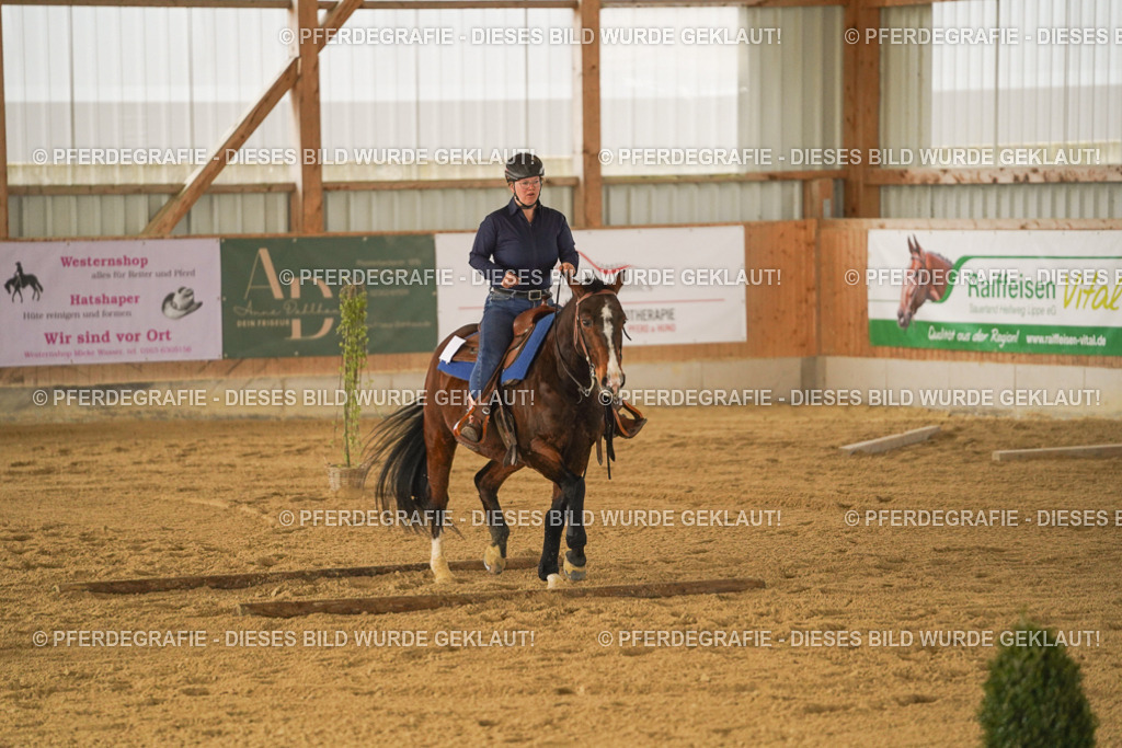 DSC04388 | Pferdegrafie