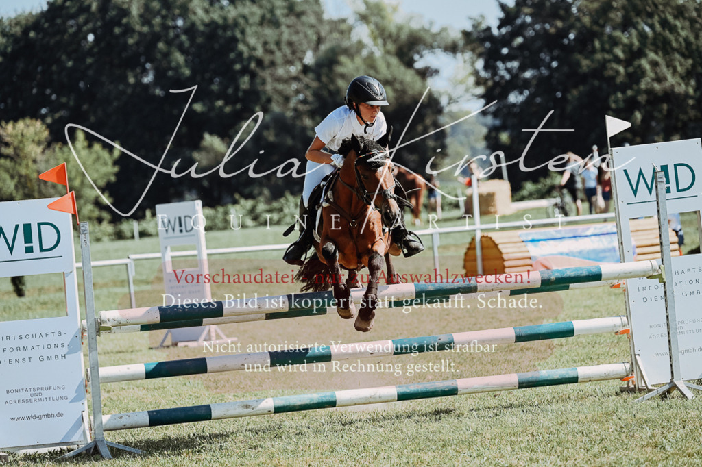 DSC_6163 | Pferde- und Turnierfotografie in Westsachsen. Pferdeportraits, Auftragszeichnungen und intuitive Kunst.