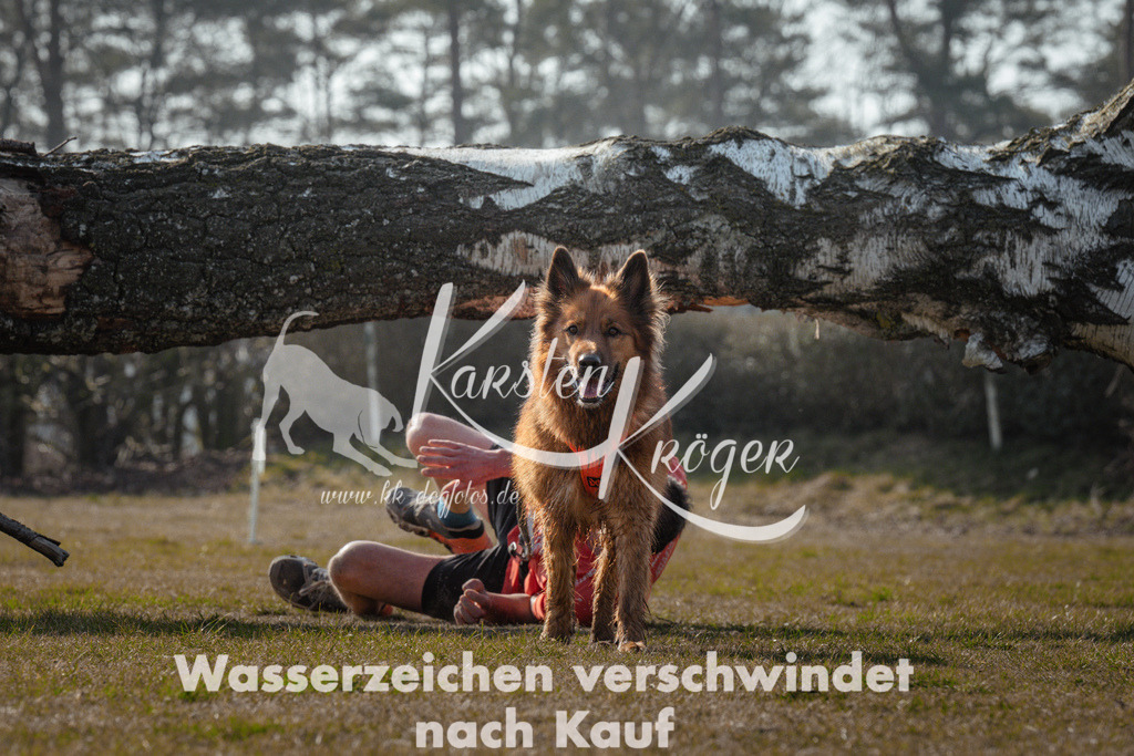 1104_ZZ94331 | kk-dogfotos