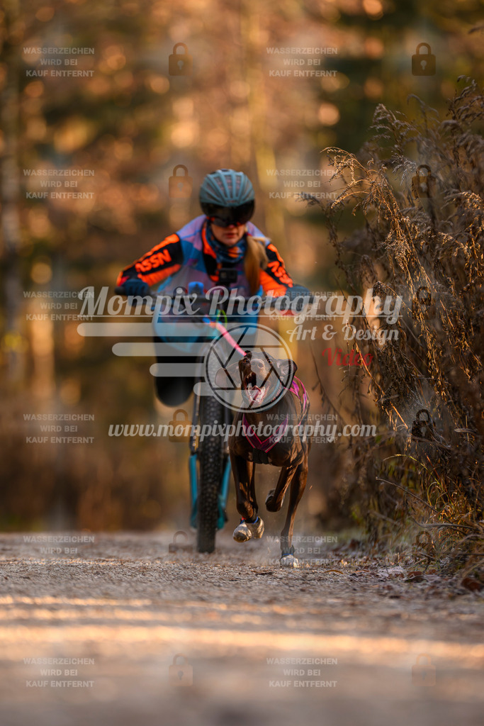 MompixPhotography_DM_AKDM_SO_2025_Scooter-118 | PayLife