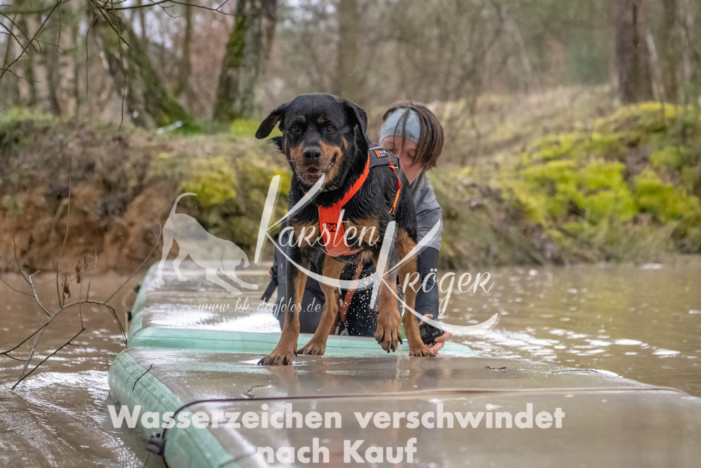 0904_ZZ90204-Bearbeitet | kk-dogfotos