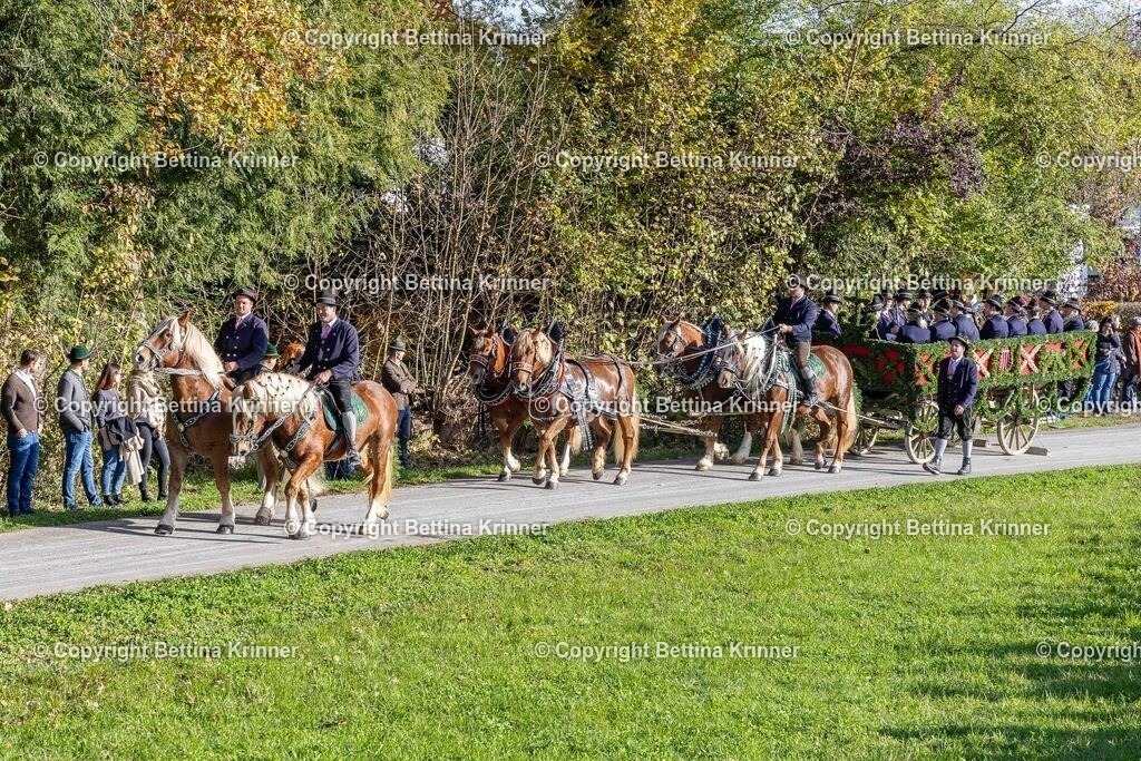 LBT24-278 | foto-bettina-krinner - Realisiert mit Pictrs.com