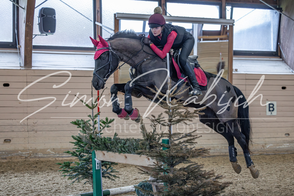 20260222-_3LI2362 | Tierfotografie Pferde, Hunde, Katzen, Haustiere.
Turnierfotografie Reitturniere, Reiten, Springreiten, Dressur in Hanau, dem Main-Kinzig-Kreis und dem Rhein-Main- Gebiet um Frankfurt
