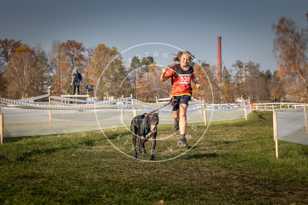 CaniXpix_0L8A9001 | Hundefotografie, Tierfotograf, Pfotenfotografie, Fotoshooting Hund, Hunde Portrait, Hundesport, Hundeportraits, Heideshooting, Hunde, Sportfotograf, Hundefotograf, Turnierhundsport, THS,  - Realisiert mit Pictrs.com