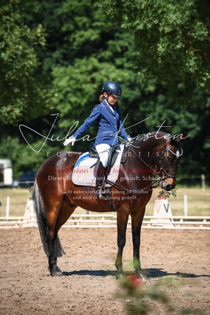 DSC_3351 | Pferde- und Turnierfotografie in Westsachsen. Pferdeportraits, Auftragszeichnungen und intuitive Kunst.