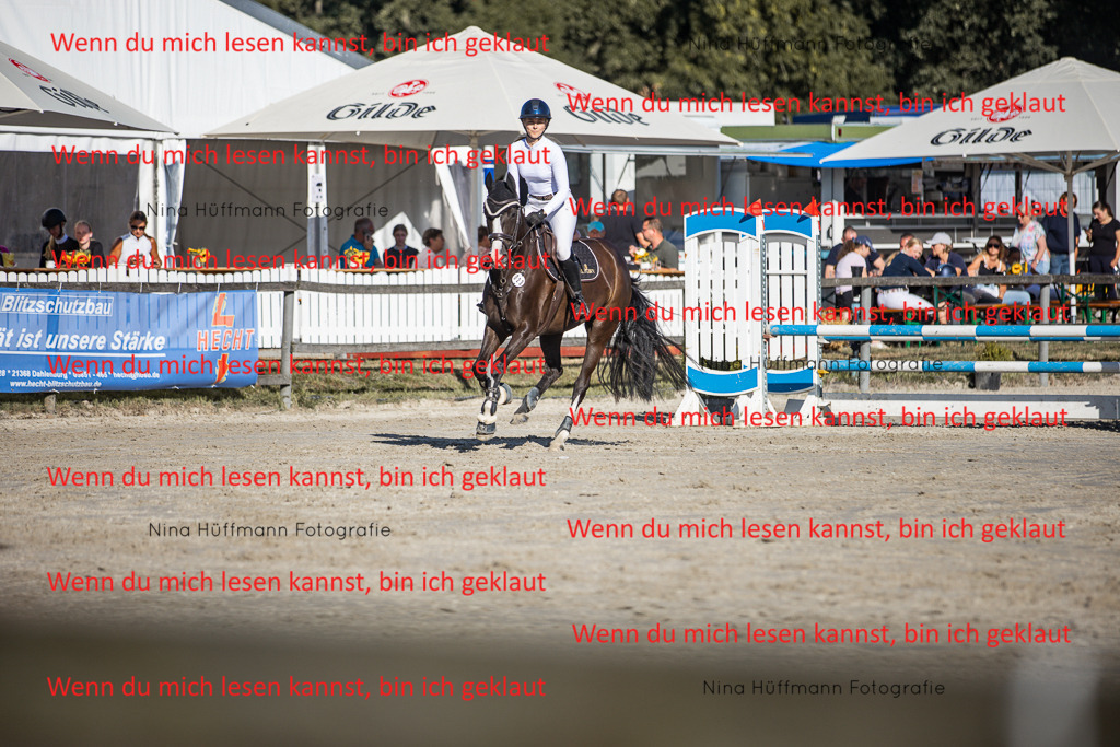 BK1A7582 | Turnierbilder Turnierfotos Nina Hüffmann Turnierfotografie Pferdefotografie Tierzeichnung Haustierzeichnung Pferdezeichnung Hundezeichnung Videograf  - Realisiert mit Pictrs.com