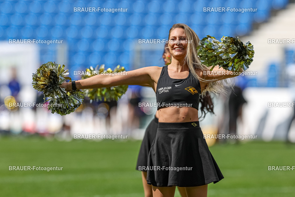 097_Ravens_20230827_0534 | BRAUER-Fotoagentur