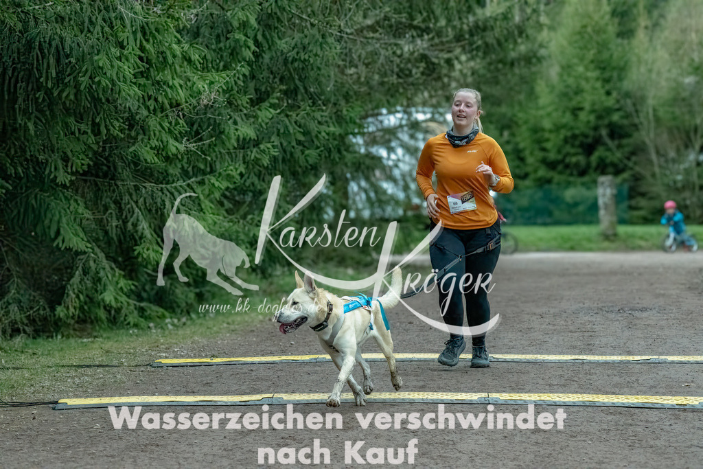 0907_ZZ90500-Bearbeitet | kk-dogfotos