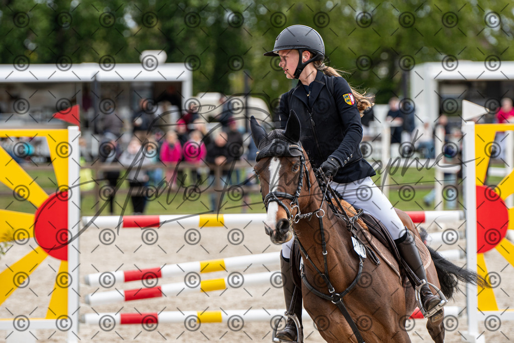 KPT_8961 | andre_photographic