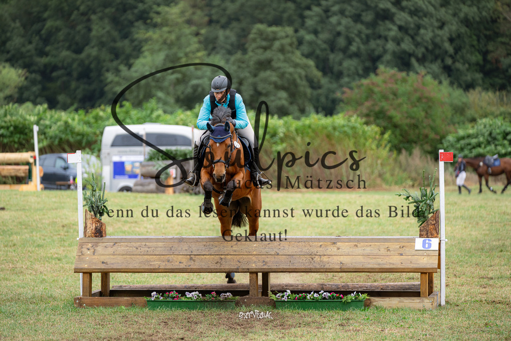 A7V00260 | Pferdefotograf