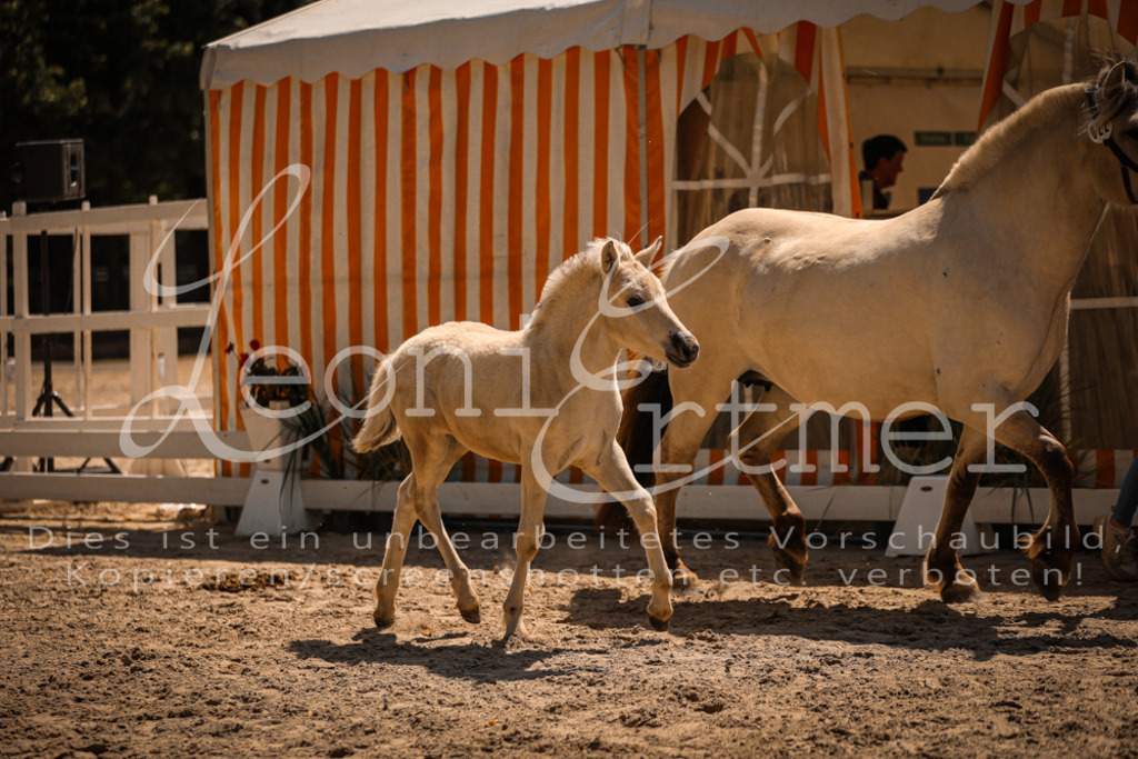 05.DoF00065 | Leoni Ertmer Photography - Realisiert mit Pictrs.com