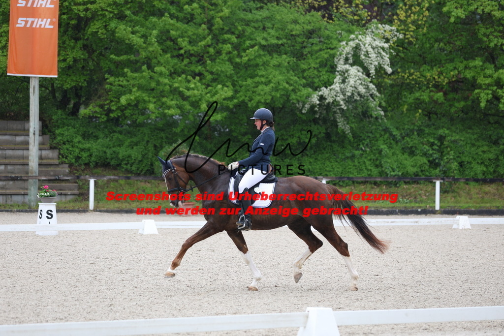 A40A7300 | lmwpictures - Realisiert mit Pictrs.com