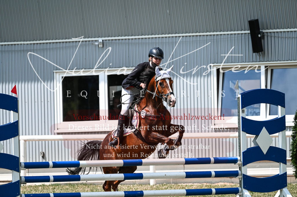 DSC_9457 | Pferde- und Turnierfotografie in Westsachsen. Pferdeportraits, Auftragszeichnungen und intuitive Kunst.