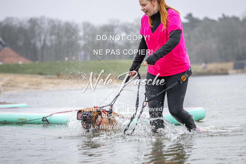 nelerasche_Hulsbeek_Sa1030-1100_218 | nelerasche