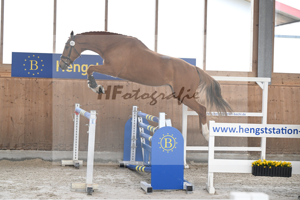 Kat-Nr. 7 Clavius dElifine Z v. Conthargos_Walcher_14260654 | hf-fotografie - Realisiert mit Pictrs.com