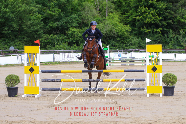 DKP41553 | Turniersportfotografie; Pferdefotografie; Dressurfotografie