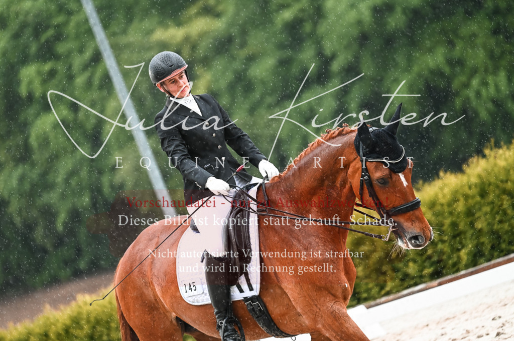 DSC_4445 | Pferde- und Turnierfotografie in Westsachsen. Pferdeportraits, Auftragszeichnungen und intuitive Kunst.