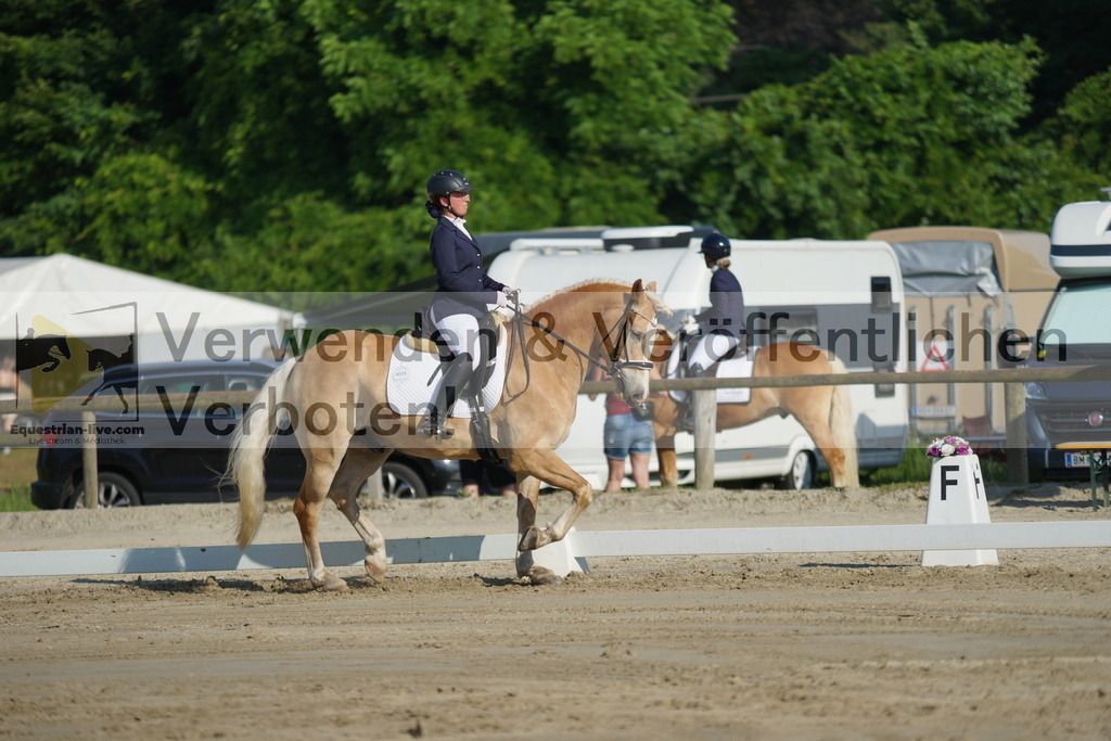 DSC04143 | equestrian-live-com
