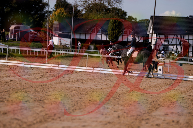 2026_10_03_Siefer-Hof_120014_Z81_01602301 | Professionelle Reitsport-, Turnier- und Eventfotografie von Robert Broda. Galerien mit ausgewählten und bearbeiteten Bildern direkt online ansehen und bestellen.