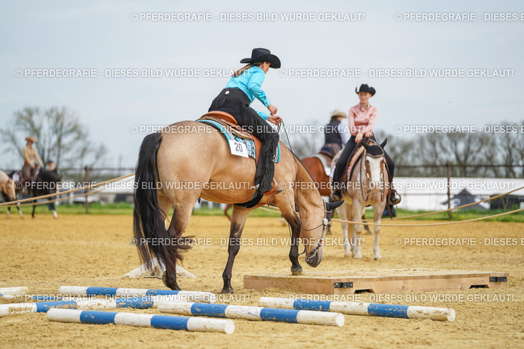 DSC03374 | Pferdegrafie