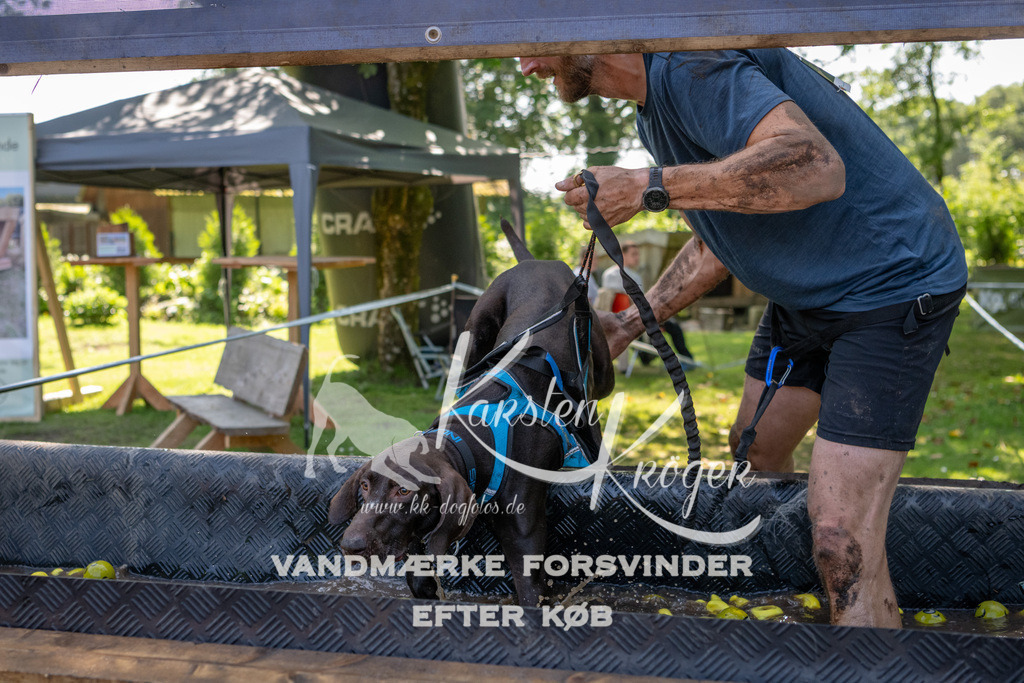 1450_ZZ94551 | kk-dogfotos