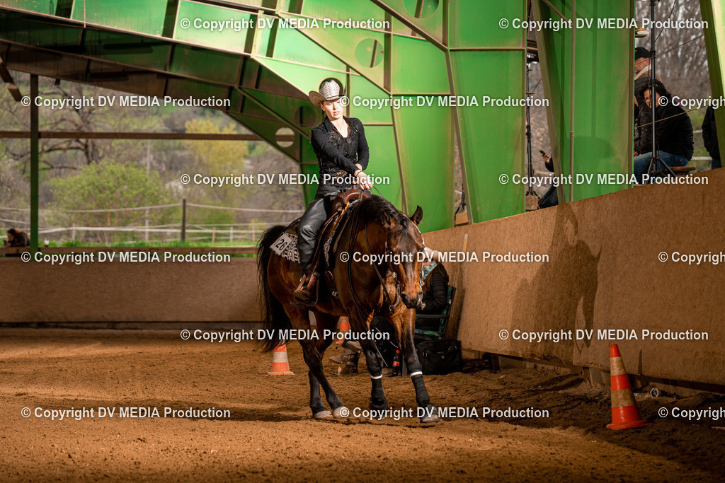 BA301242 | dv-media-shop - Realisiert mit Pictrs.com