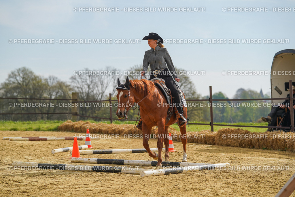 DSC01933 | Pferdegrafie