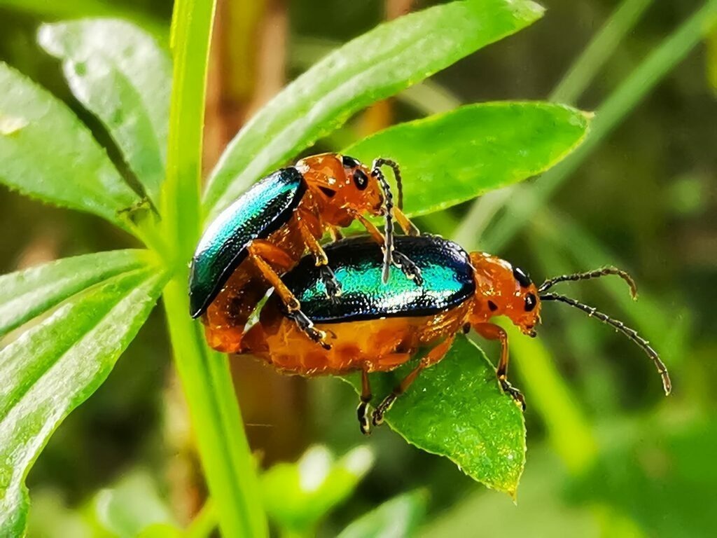 PSX_20220907_223641 | mtkfoto_ - Realisiert mit Pictrs.com