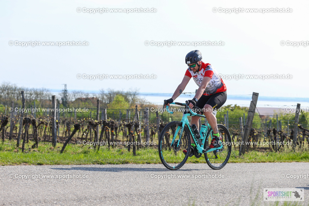 IMG_1172 | @sportshot_your_pictrs #yourpictures#roadtowm2029 #nrm #neusiedlerseeradmarathon #neusiedlersee #neusiedlerseetourismus #burgenland #mörbisch #nrm26 #burgenlandtourismus #voglundco #poweredbyburgenlandtourismus #radsport #rad #marathon #ucigranfondo #visitburgenland #ucigranfondoworldseries