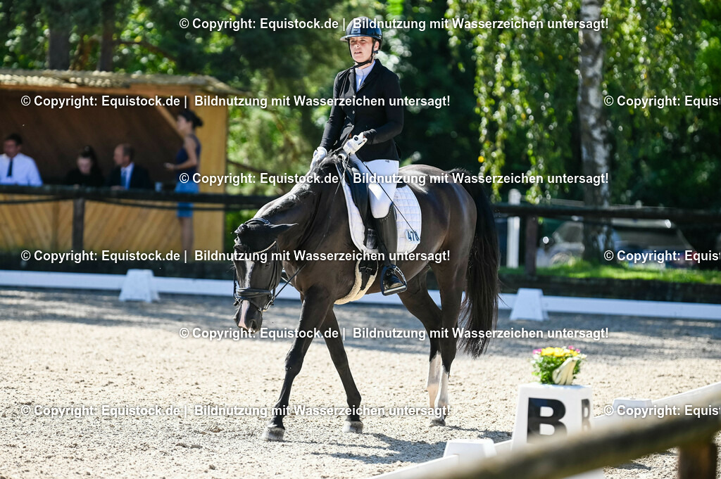 20230908_06_Dressur-L-Trense_0222 | equistock