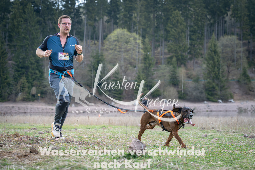 1817_ZZ95302 | kk-dogfotos