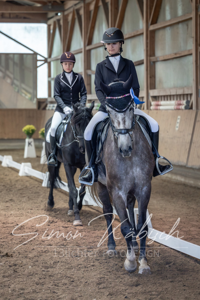 20251011-_3LI7903 | Tierfotografie Pferde, Hunde, Katzen, Haustiere.
Turnierfotografie Reitturniere, Reiten, Springreiten, Dressur in Hanau, dem Main-Kinzig-Kreis und dem Rhein-Main- Gebiet um Frankfurt