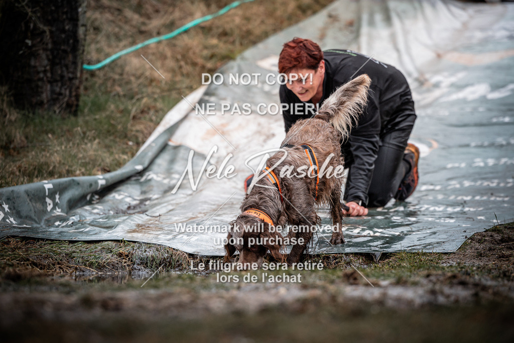 nelerasche_1100-1130_123 | nelerasche