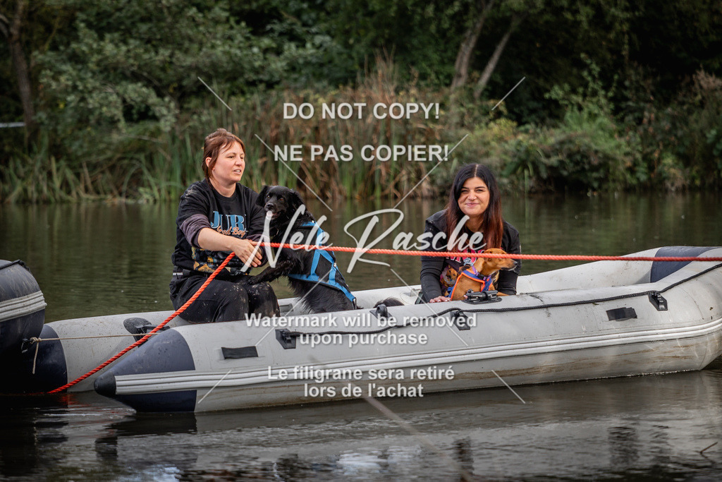nelerasche_Sa1545-Ende_137 | nelerasche