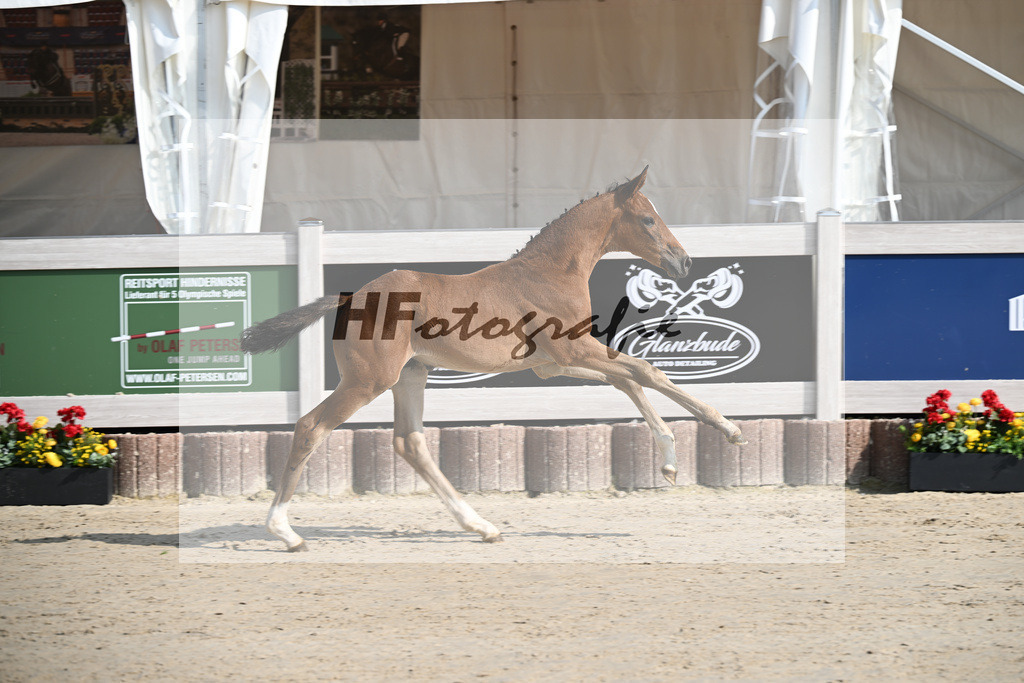Fuerst Zonik x Vitalis_SF_Haering_12250017 | hf-fotografie - Realisiert mit Pictrs.com