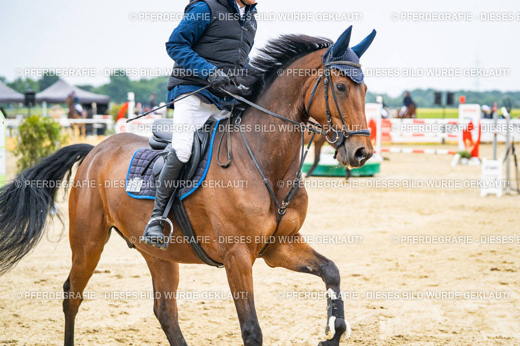 DSC09084 | Pferdegrafie