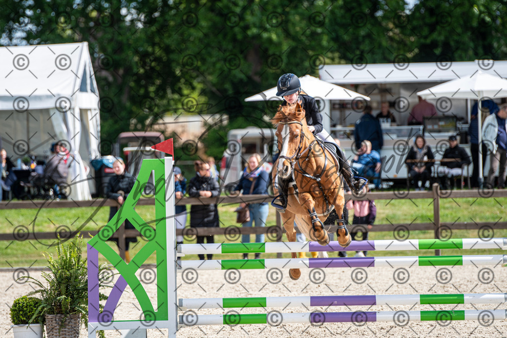 KPT_5126 | andre_photographic