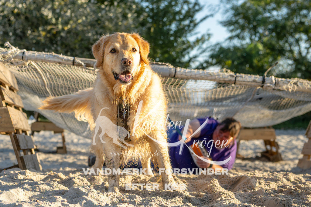 1705_ZZ90527 | kk-dogfotos