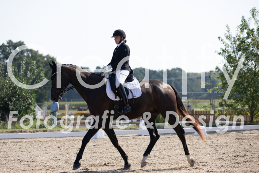 IMG_3565 | Creatify Fotografie