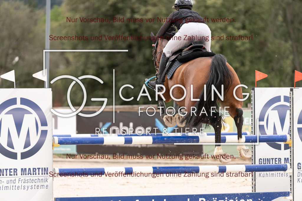 DSC06432 | Springturnier_Teamchallege_Talheim_2026, Lara-Sophie_Strohm, Champ_Charming