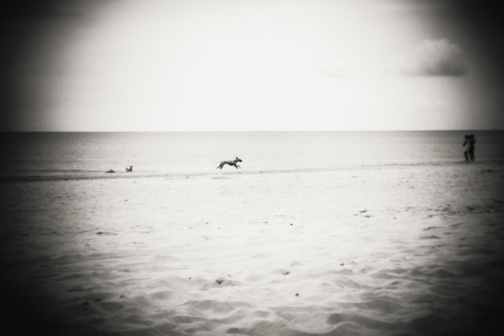 2016.08.02_IMG_9161_1 | Stimmungsvolle Fotografien von Dorit Fuhg. Kaufen Sie bequem hochwertige Fine-Art Drucke, Wandbilder und Kalender hier im Online-Shop. - Realisiert mit Pictrs.com