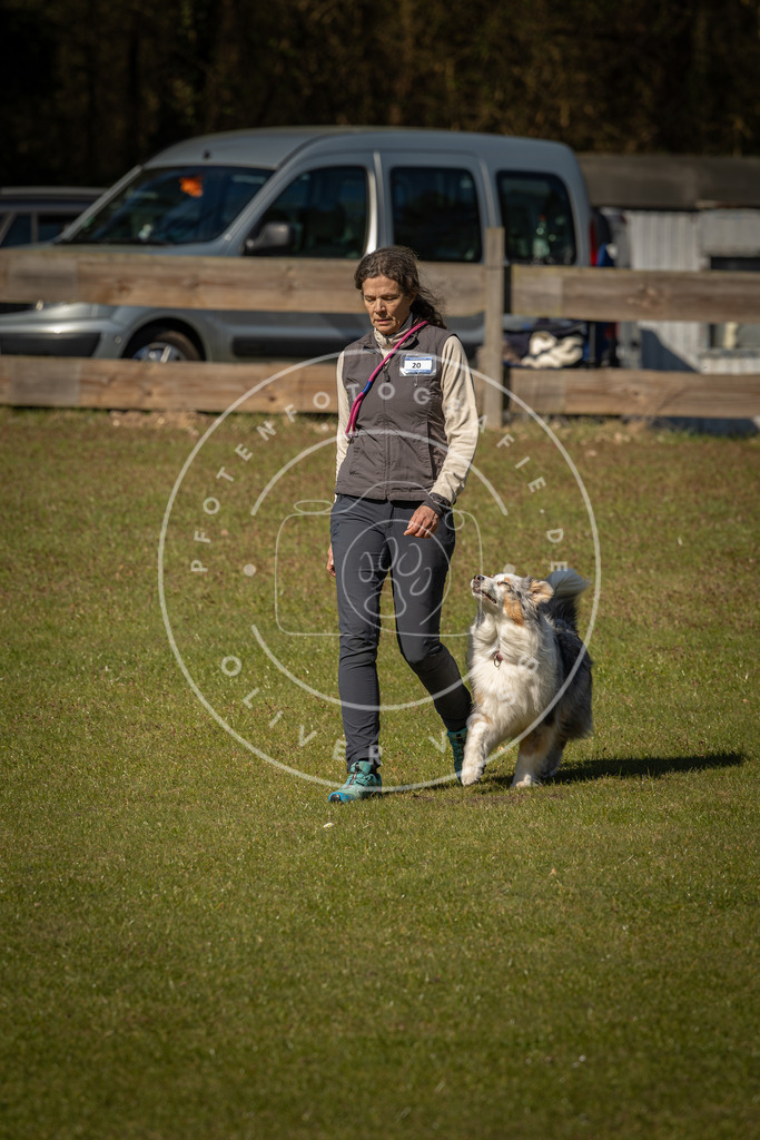 Pfotenfotografie_DV3A0506 | Hundefotografie, Tierfotograf, Pfotenfotografie, Fotoshooting Hund, Hunde Portrait, Hundesport, Hundeportraits, Heideshooting, Hunde, Sportfotograf, Hundefotograf, Turnierhundsport, THS,  - Realisiert mit Pictrs.com