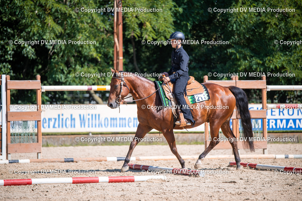 ZS1_0910 | dv-media-shop - Realisiert mit Pictrs.com